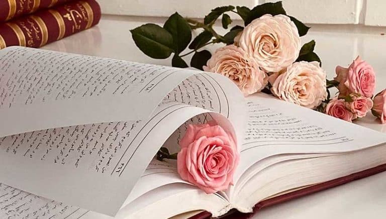 Elle, Andr&eacute; Baltazar