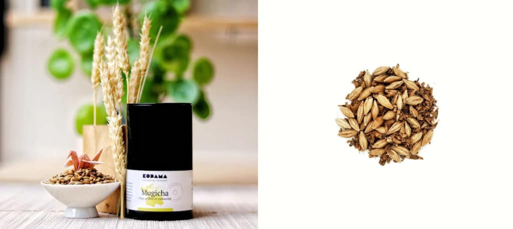 Pot de Mugicha accompagn&eacute; de brins d&rsquo;orge