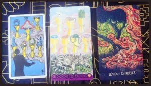 Rider White Smith, comparaison entre trois sept de coupes : le jeu original, le pagan cats tarot et le prisma tarot