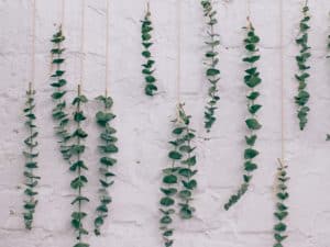 Comment faire s&eacute;cher ses propres herbes ? &ndash; D&eacute;couvrez une m&eacute;thode simple et s&ucirc;re.