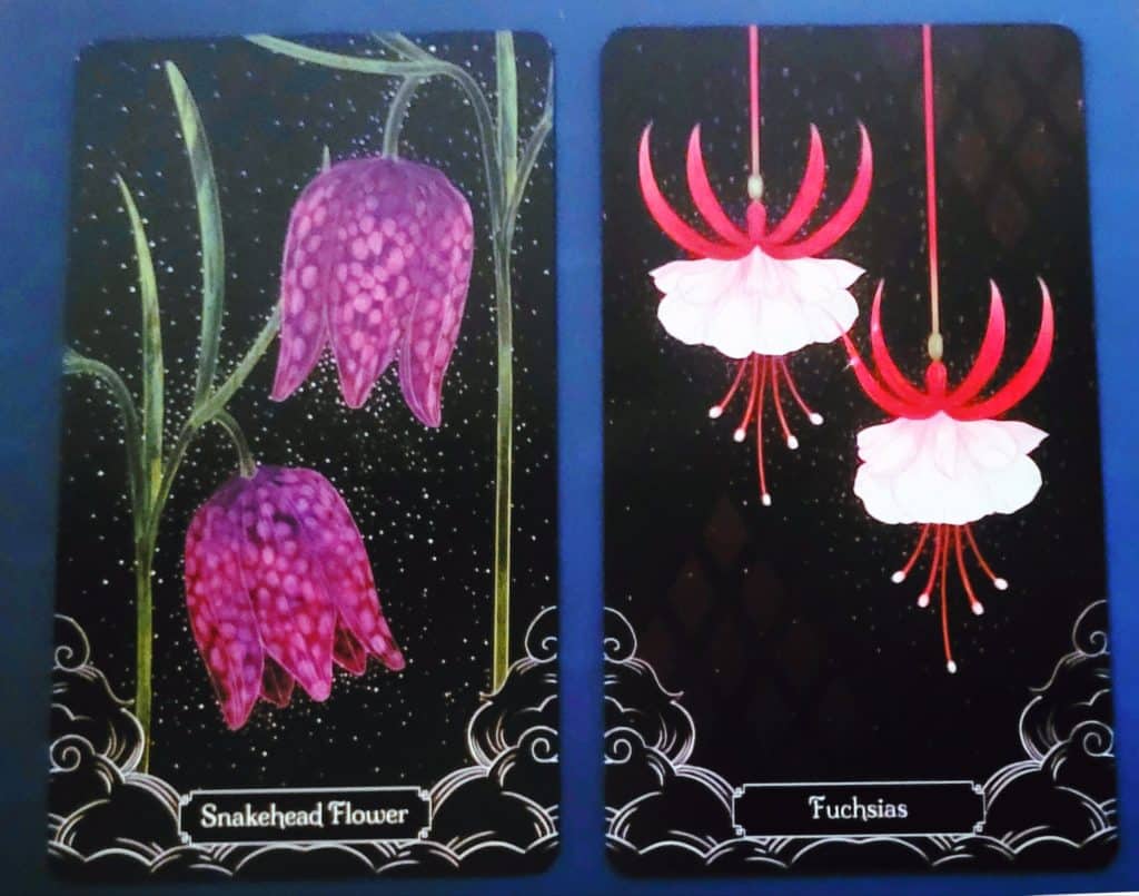 cartes snakehead flower et fuschia