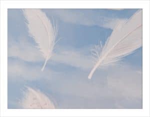 G&eacute;meaux du Spacious Tarot : des plum&eacute;s dans,s un ciel bleu un peu d&eacute;gag&eacute;