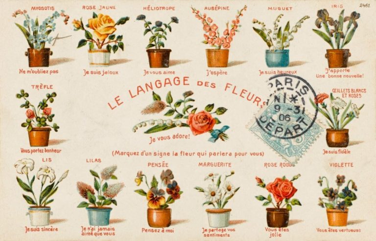 Courte histoire du langage des fleurs &agrave; l&rsquo;&eacute;poque victorienne