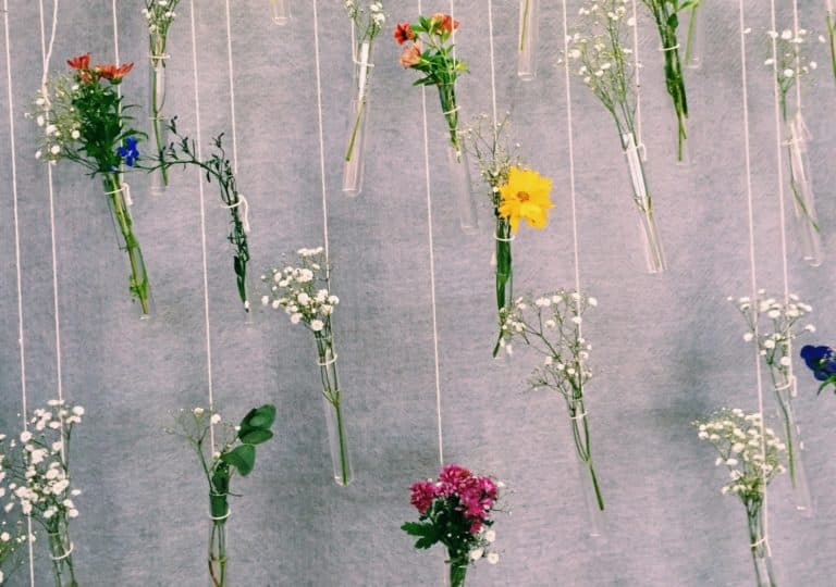 Guidances pour vous et moi- message, tarot et oracles