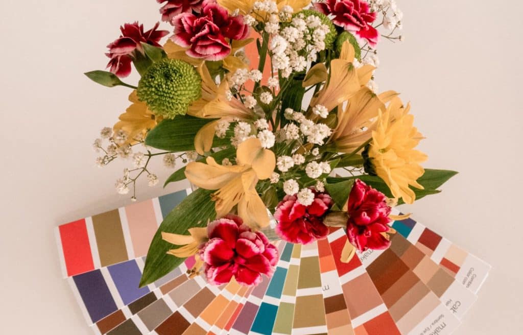 fleurs multiples et nuanciers de peinture de batiment sur fond vieux rose