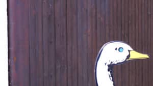 conseils d&rsquo;une professionnelle pour g&eacute;rer les septiques pendant les s&eacute;ances de divination, et comment &eacute;viter de vous retrouver dans cette position