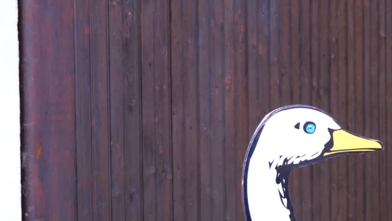 conseils d&rsquo;une professionnelle pour g&eacute;rer les septiques pendant les s&eacute;ances de divination, et comment &eacute;viter de vous retrouver dans cette position